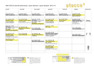 attività stecca 3 per 2013-14